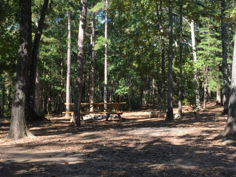 campsite-10-a