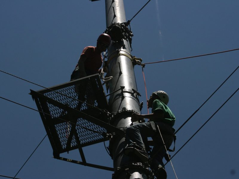 cope-2