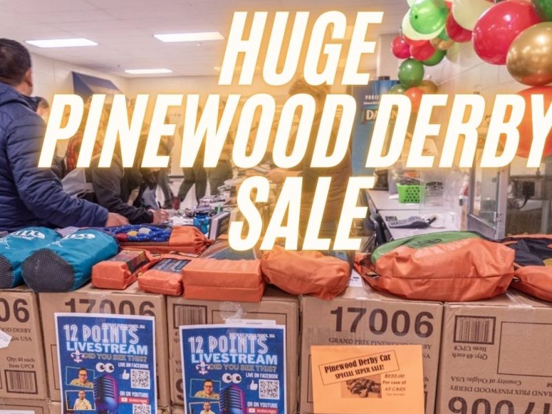 huge pinewood derby sale - 1